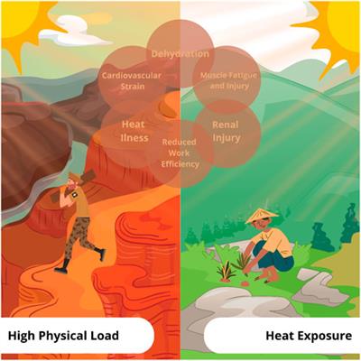 Editorial: Acute and long-term health issues of occupational exposure to heat and high physical loads